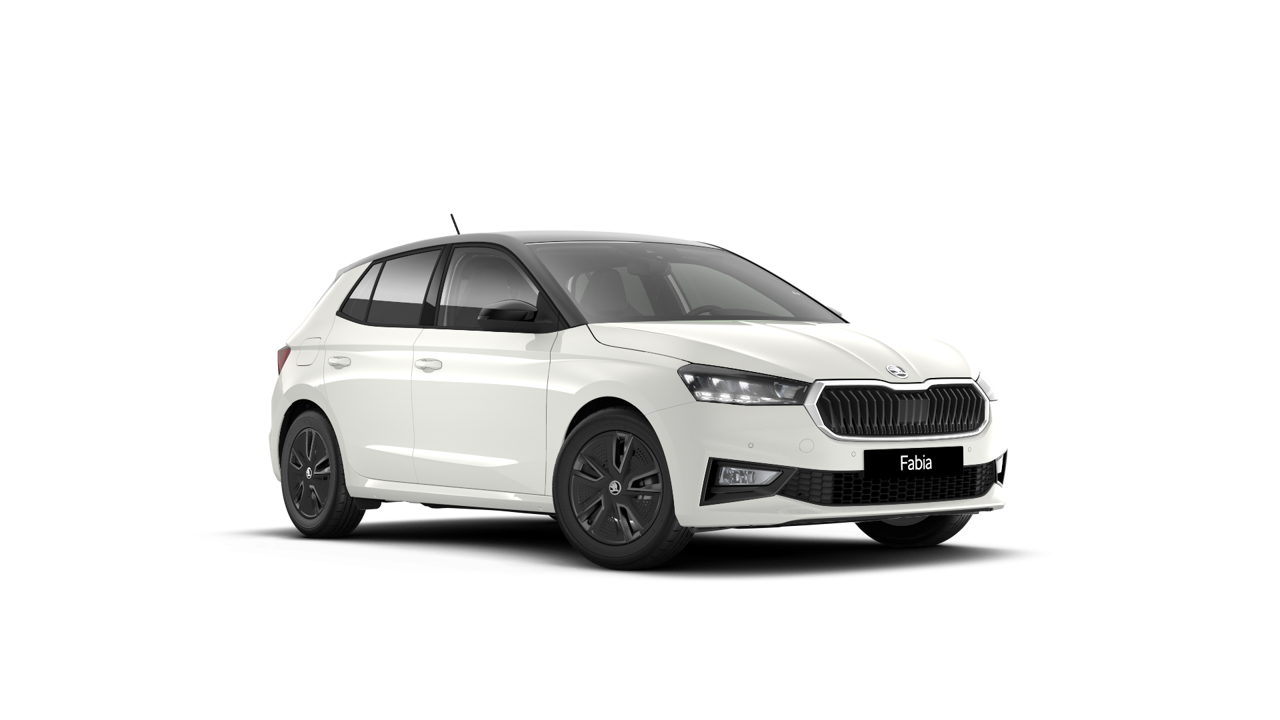 Bild eines Fabia Selection TSI