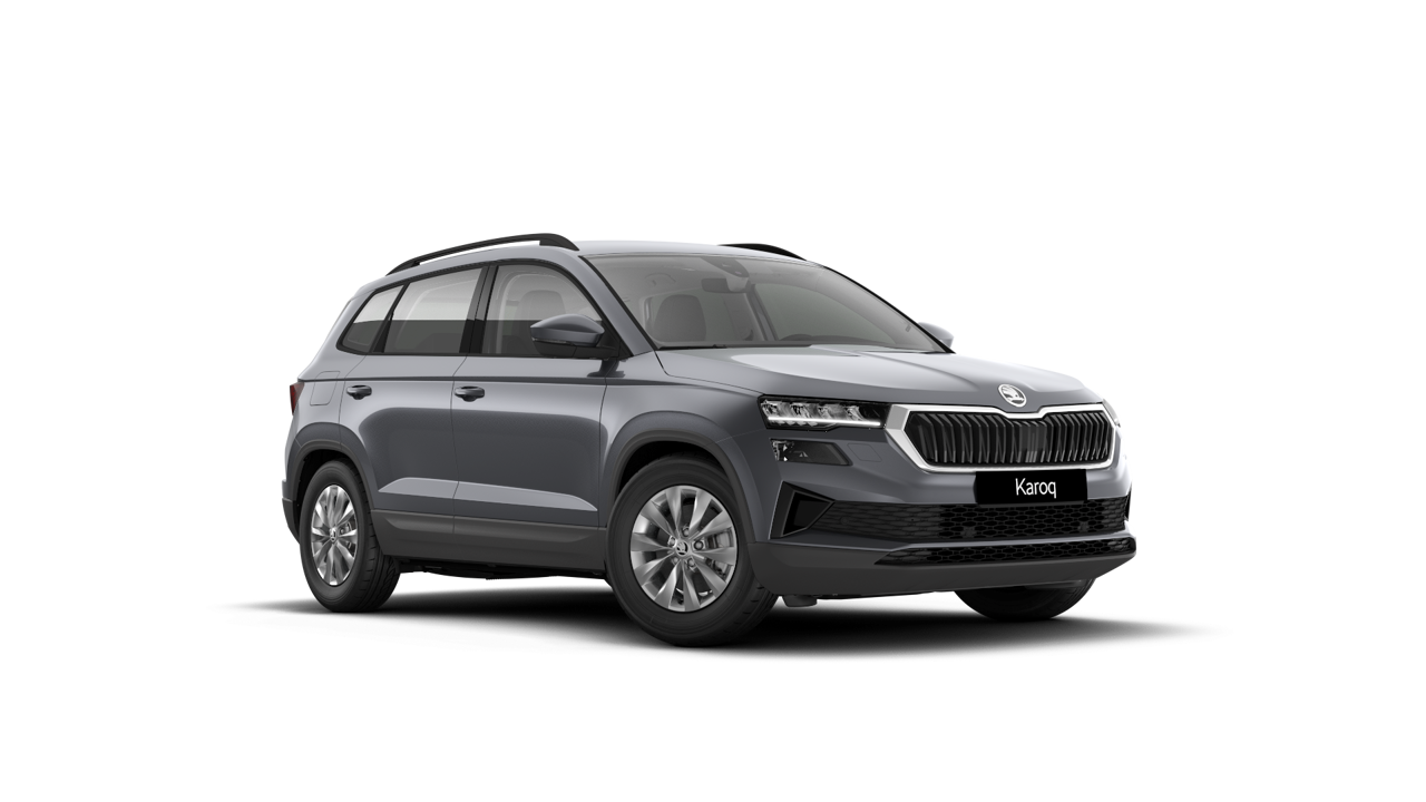 Bild eines Karoq Selection TDI DSG