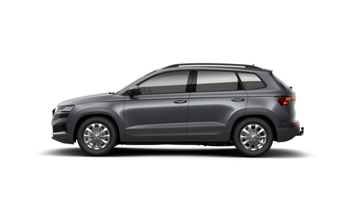 Bild eines Karoq Selection TDI DSG