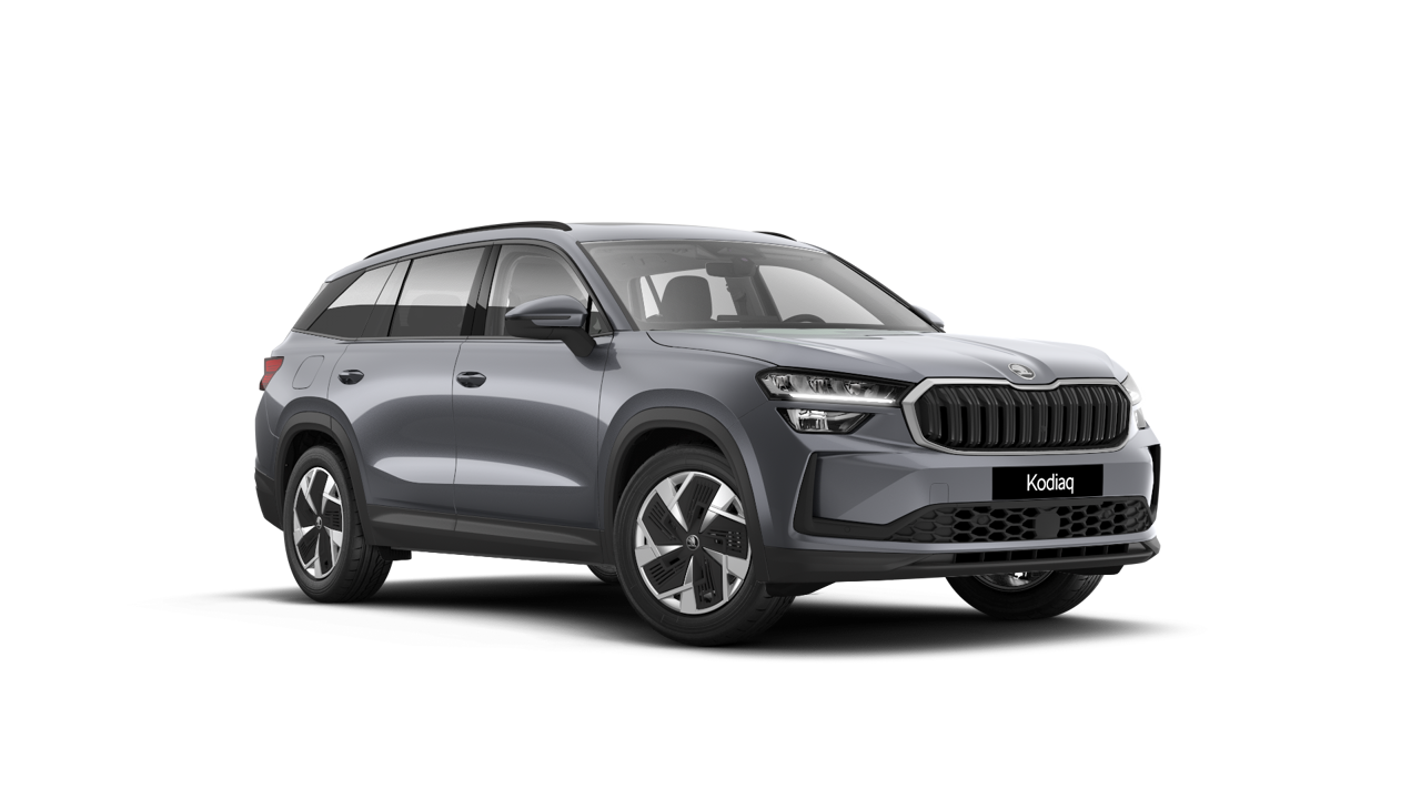 Bild eines Kodiaq 4x4 Selection TSI DSG