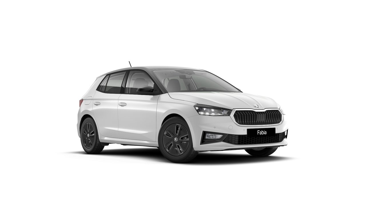 Bild eines Fabia Selection TSI