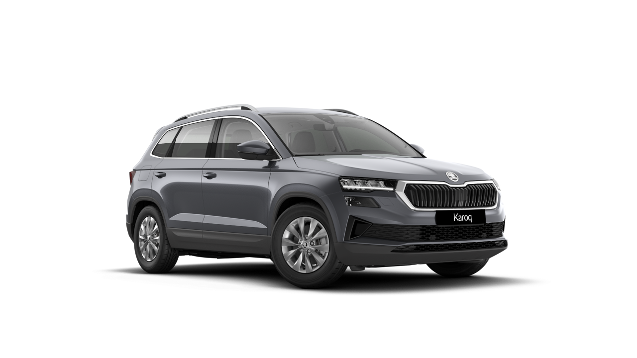Bild eines Karoq Selection TDI DSG
