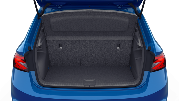 Bild eines Fabia Monte Carlo TSI