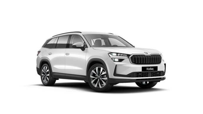 Bild eines Kodiaq Selection TDI DSG
