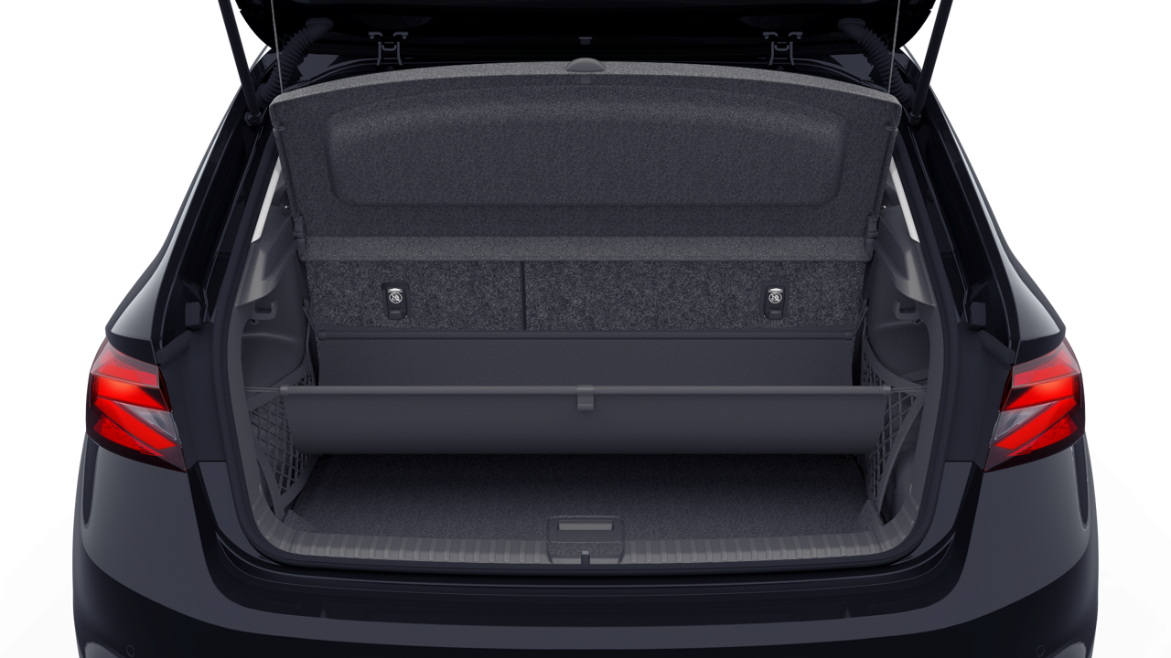 Bild eines Fabia Selection TSI