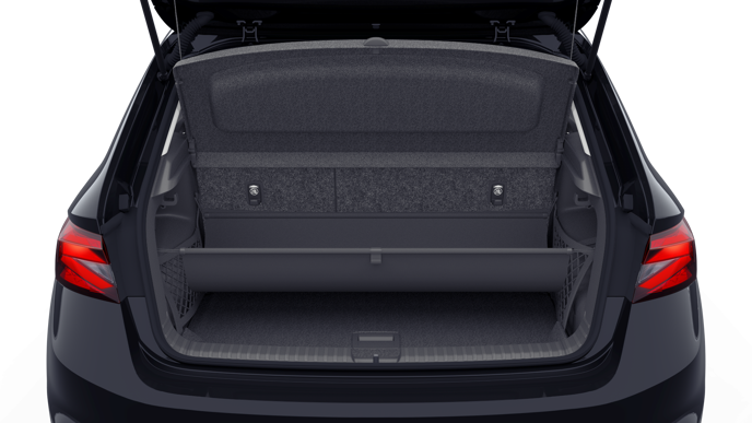 Bild eines Fabia Selection TSI