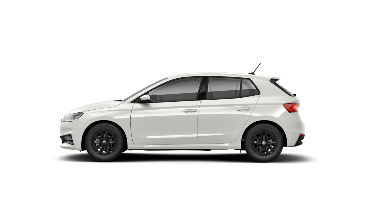 Bild eines Fabia Selection