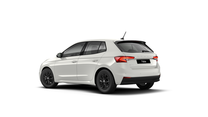 Bild eines Fabia Selection