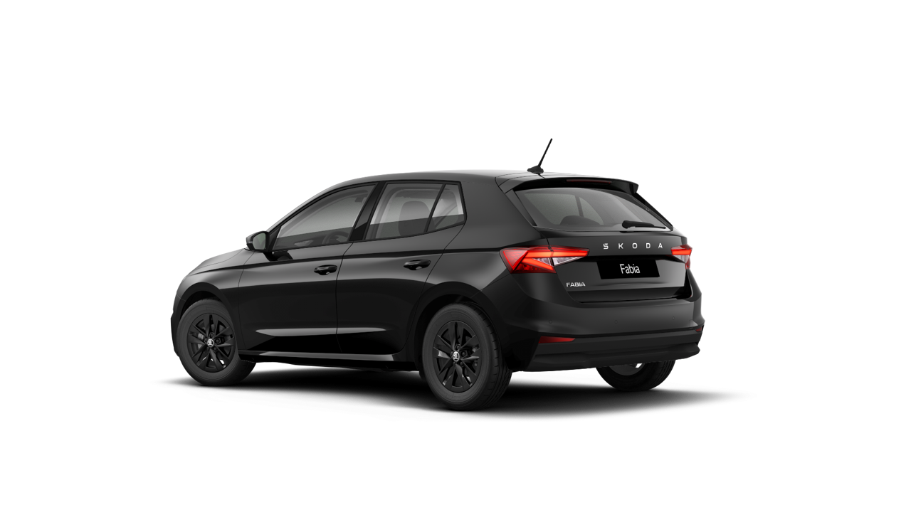 Bild eines Fabia Selection