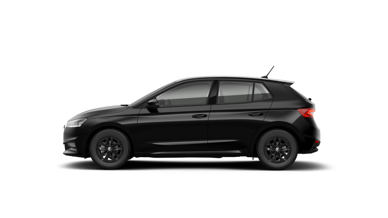 Bild eines Fabia Selection
