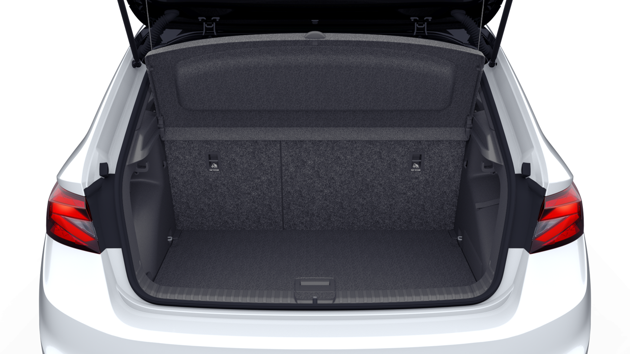 Bild eines Fabia Monte Carlo TSI DSG