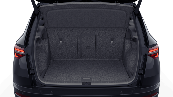 Bild eines Karoq Sportline TDI