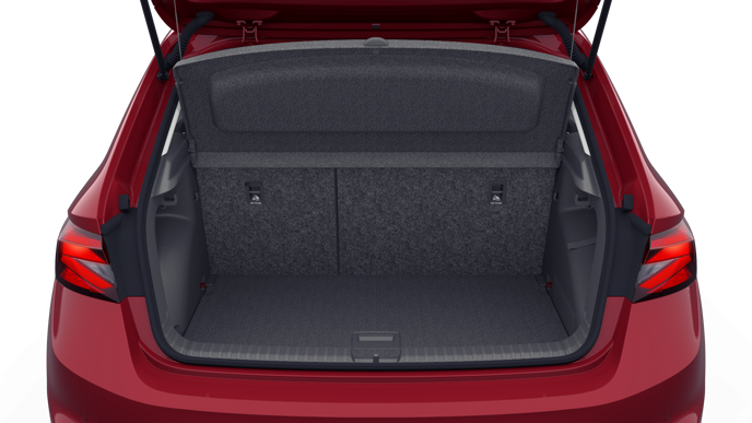 Bild eines Fabia Selection TSI DSG