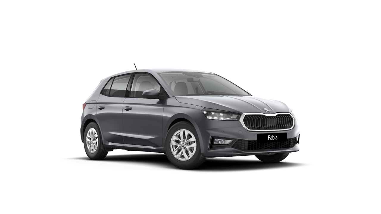 Bild eines Fabia Selection TSI