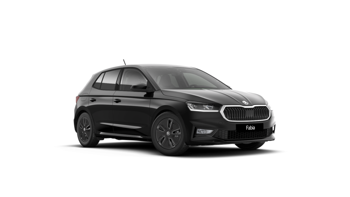 Bild eines Fabia Selection TSI DSG