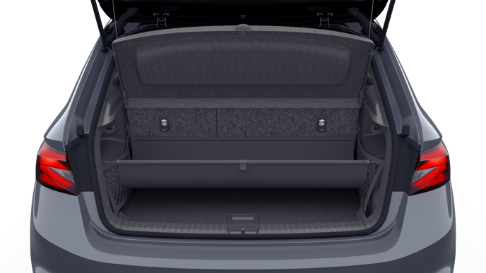 Bild eines Fabia Monte Carlo TSI DSG