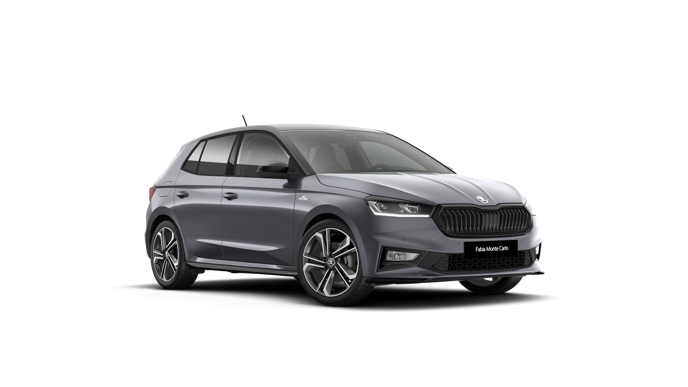 Bild eines Fabia Monte Carlo TSI DSG