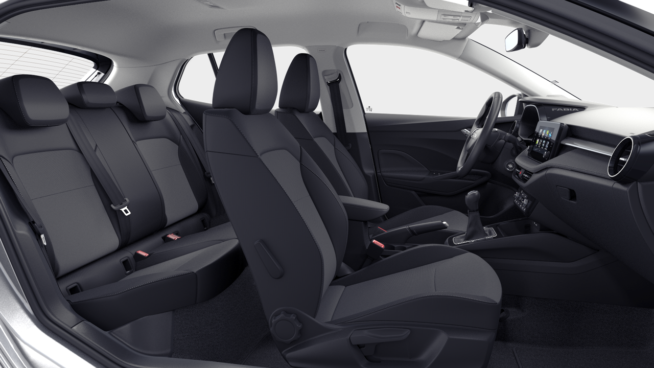 Bild eines Fabia Selection TSI