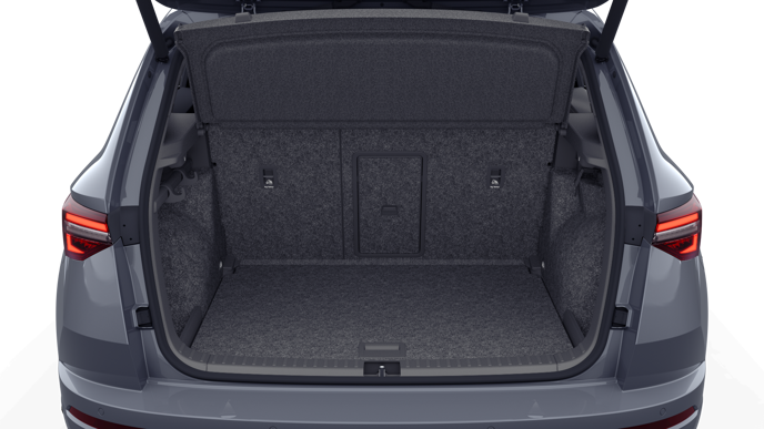Bild eines Karoq Sportline TDI DSG