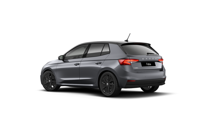 Bild eines Fabia Selection TSI