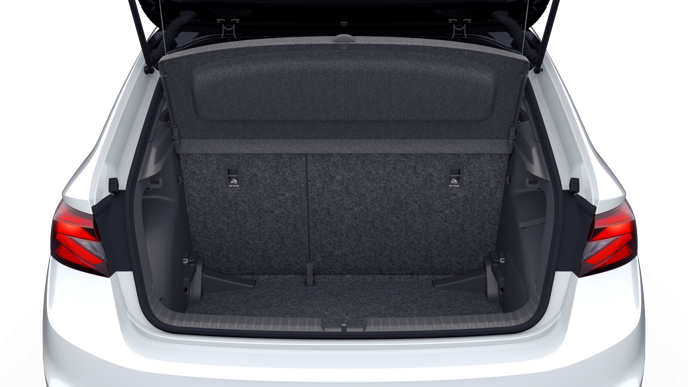 Bild eines Fabia Monte Carlo TSI