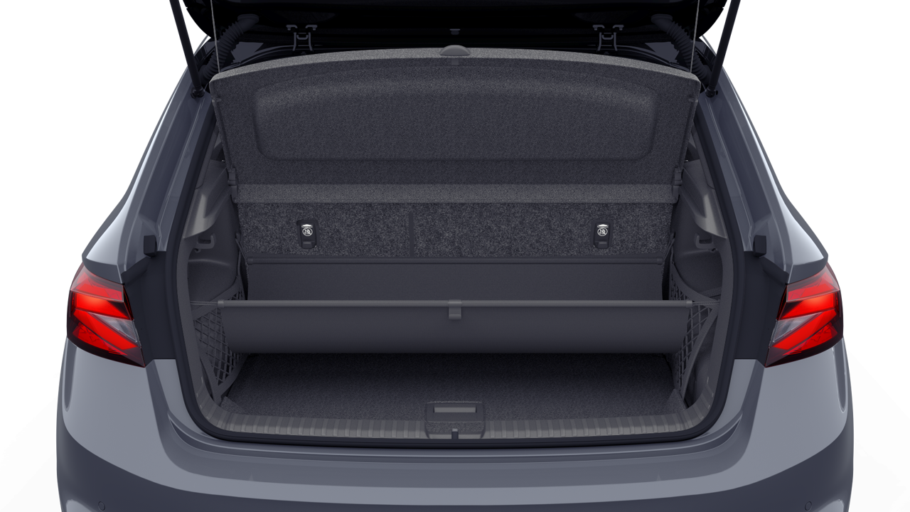 Bild eines Fabia Monte Carlo TSI DSG