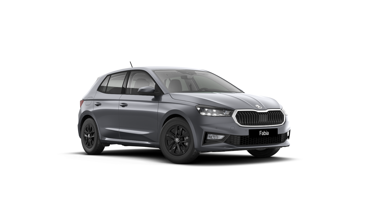 Bild eines Fabia Selection TSI DSG