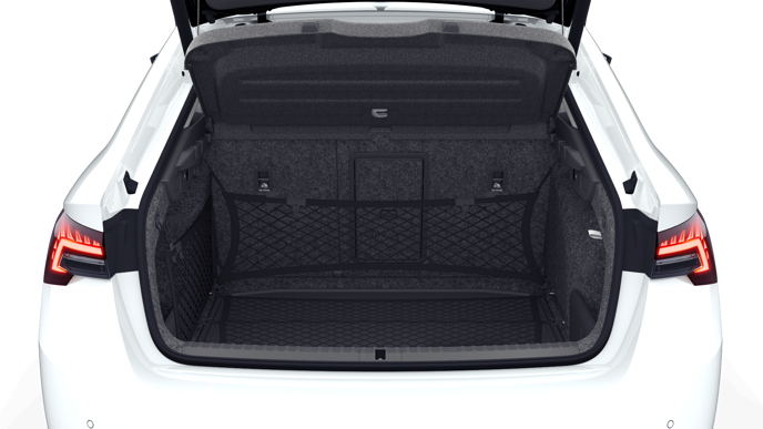 Bild eines Octavia Selection TDI DSG