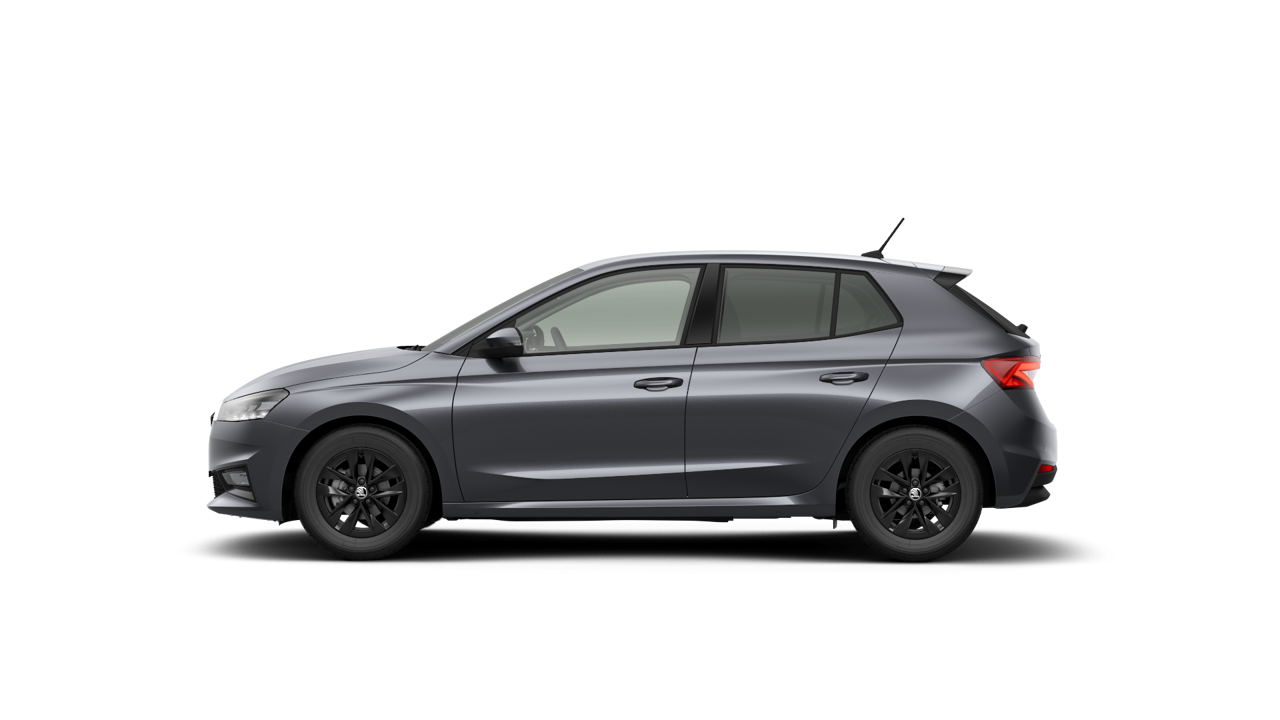 Bild eines Fabia Selection TSI