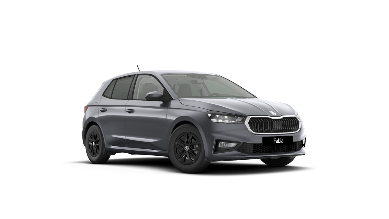 Bild eines Fabia Selection TSI