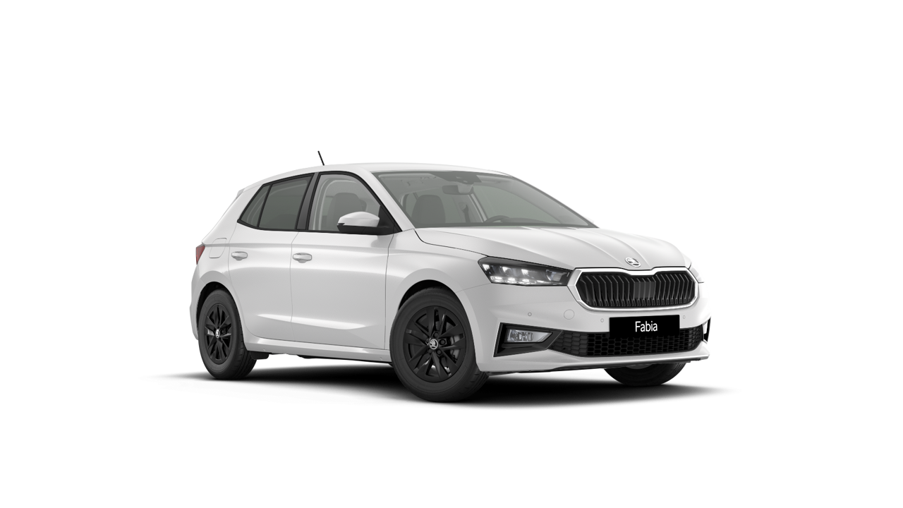 Bild eines Fabia Selection TSI