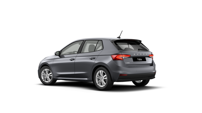 Bild eines Fabia Selection TSI DSG
