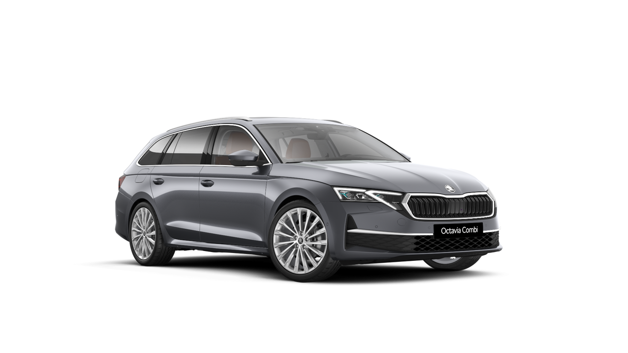 Bild eines Octavia Combi 4x4 Selection TSI DSG