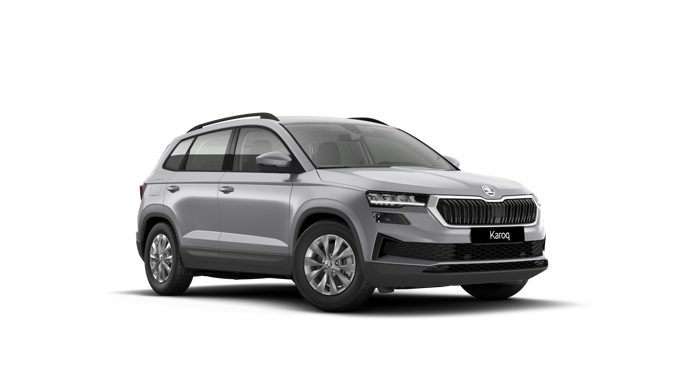 Bild eines Karoq Selection TDI DSG