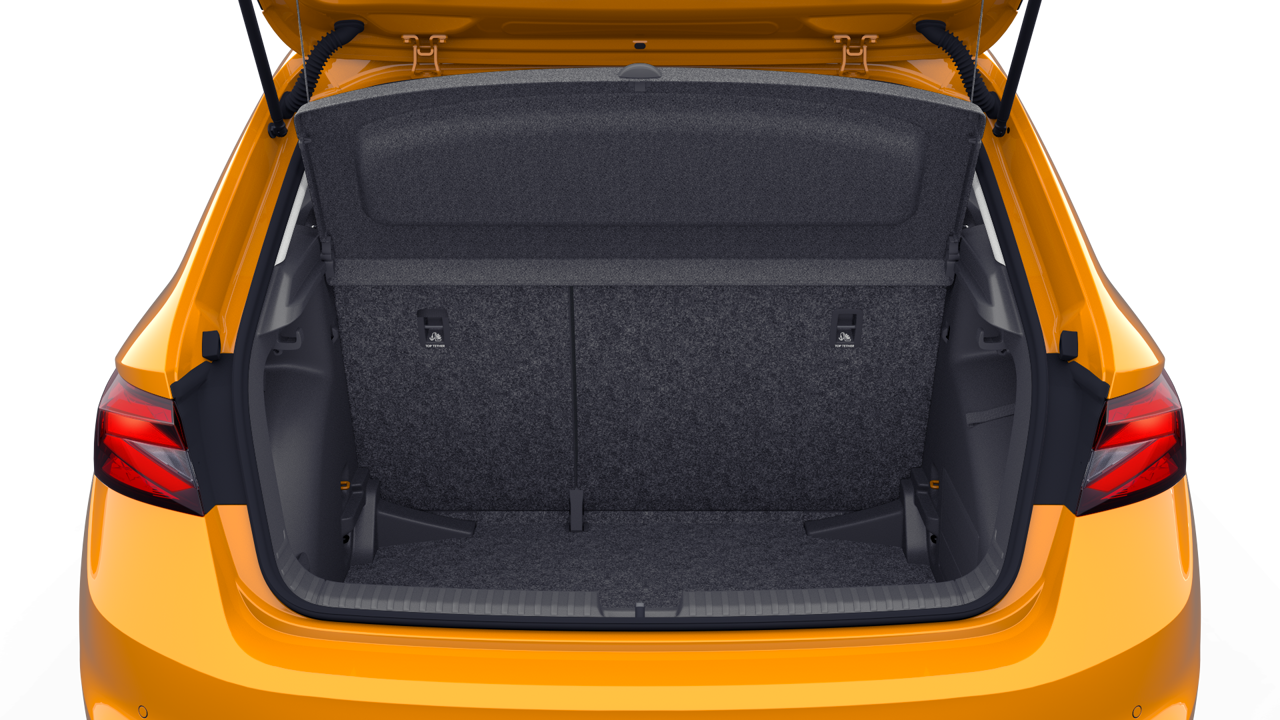 Bild eines Fabia Selection