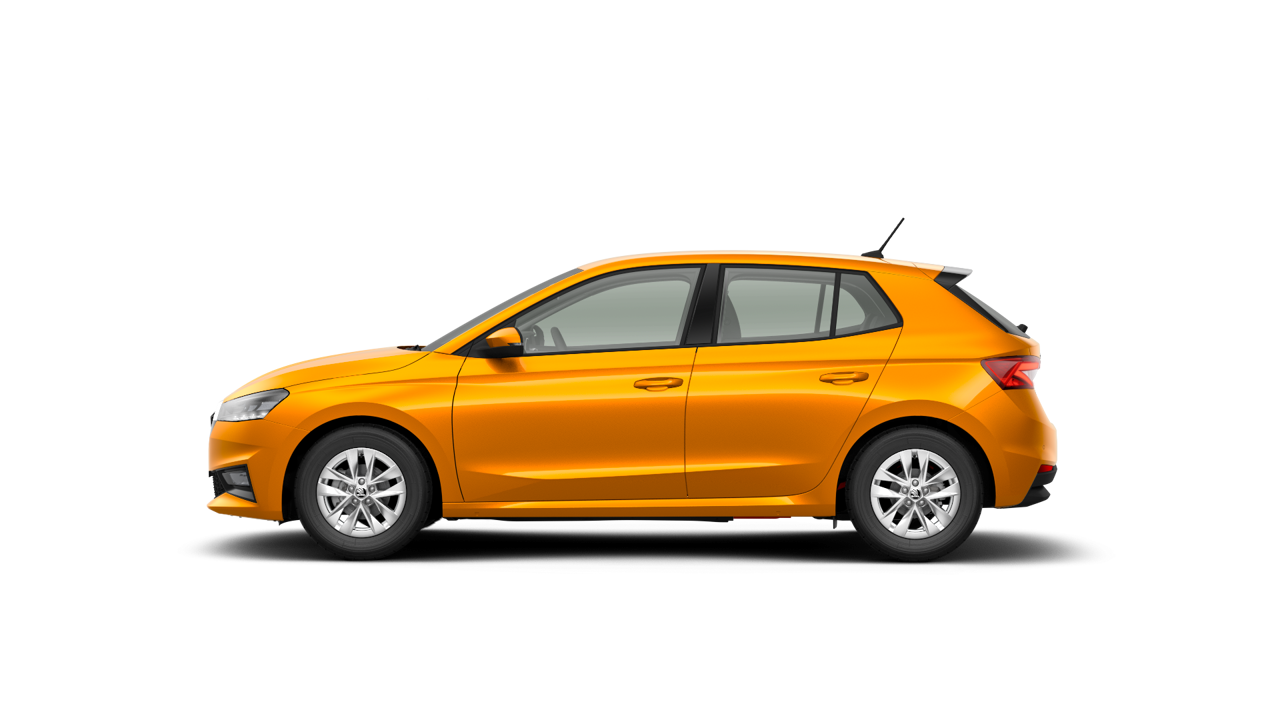 Bild eines Fabia Selection