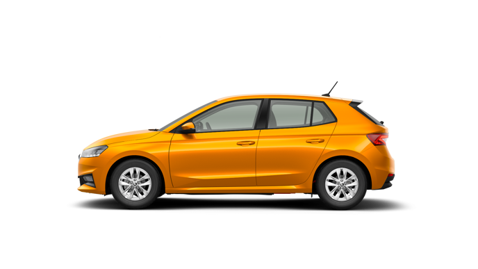 Bild eines Fabia Selection
