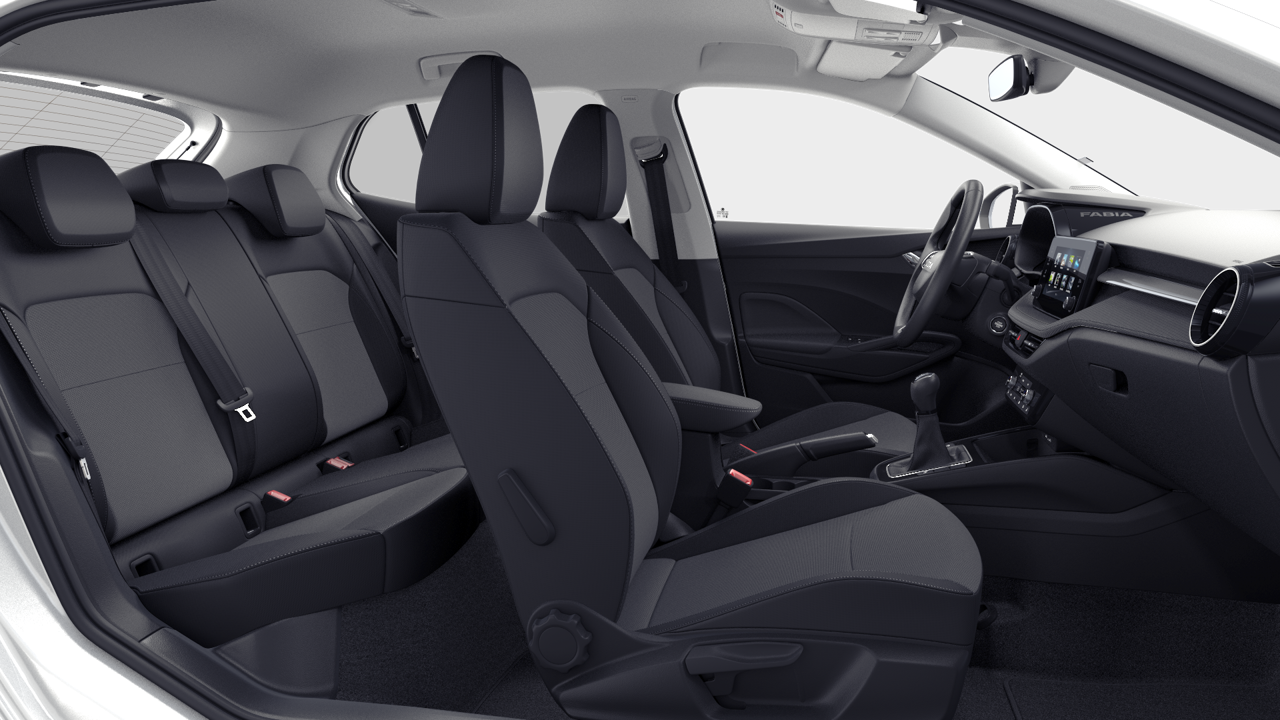 Bild eines Fabia Selection TSI