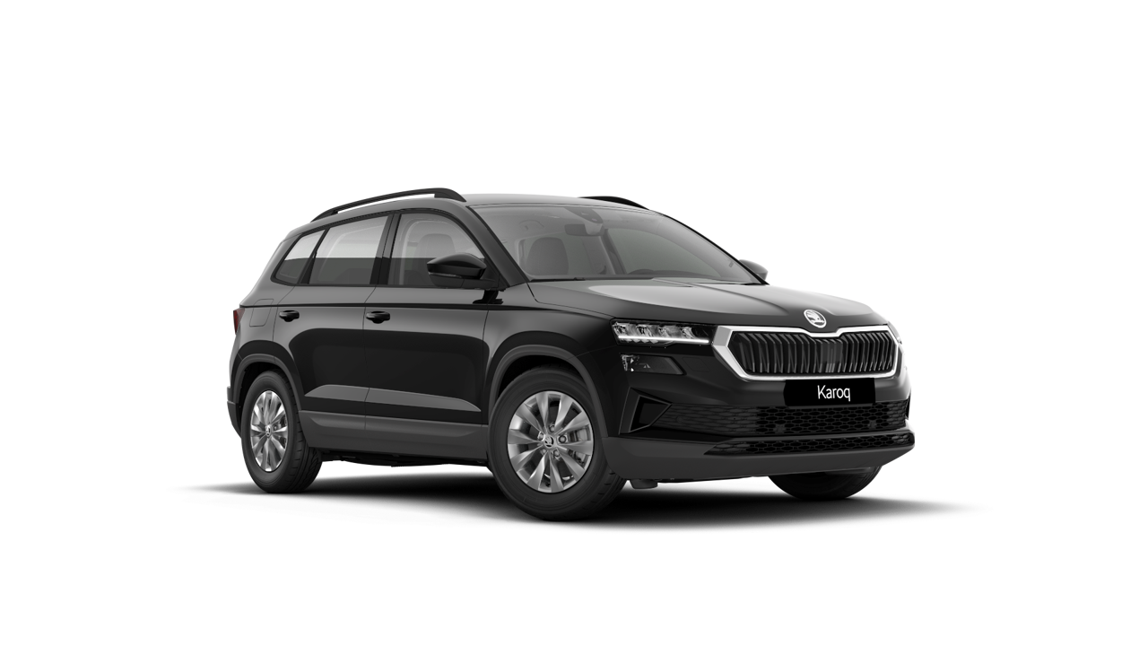 Bild eines Karoq 4x4 Selection TDI DSG