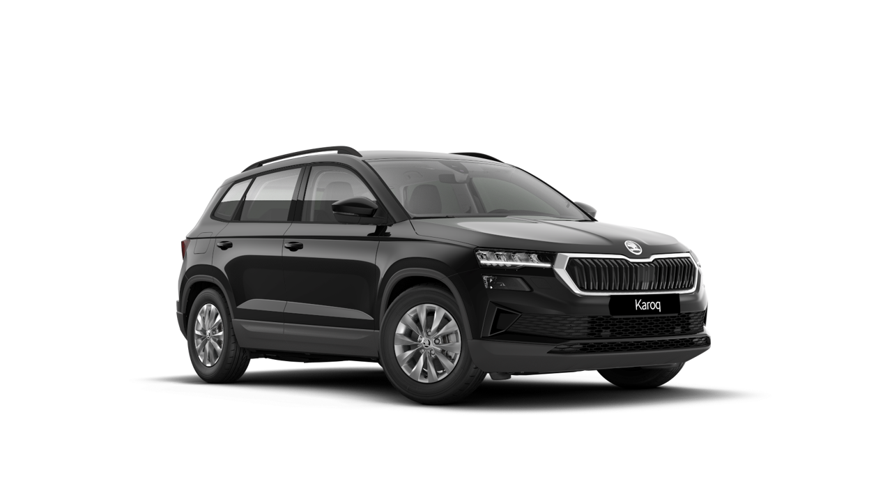 Bild eines Karoq 4x4 Selection TDI DSG