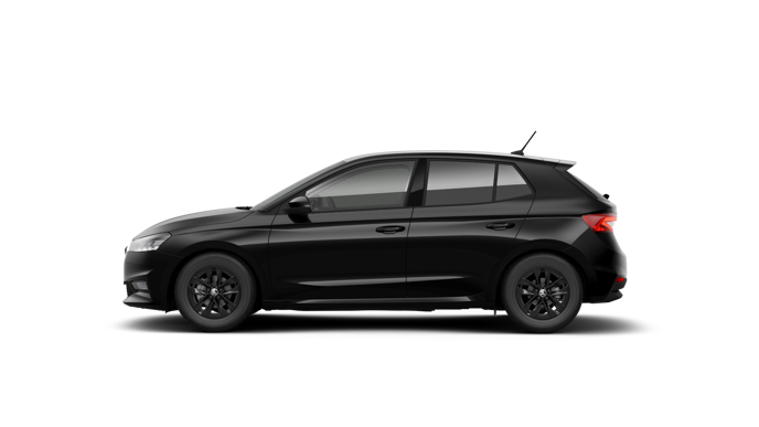 Bild eines Fabia Selection TSI