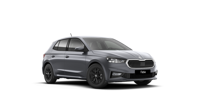 Bild eines Fabia Selection TSI DSG