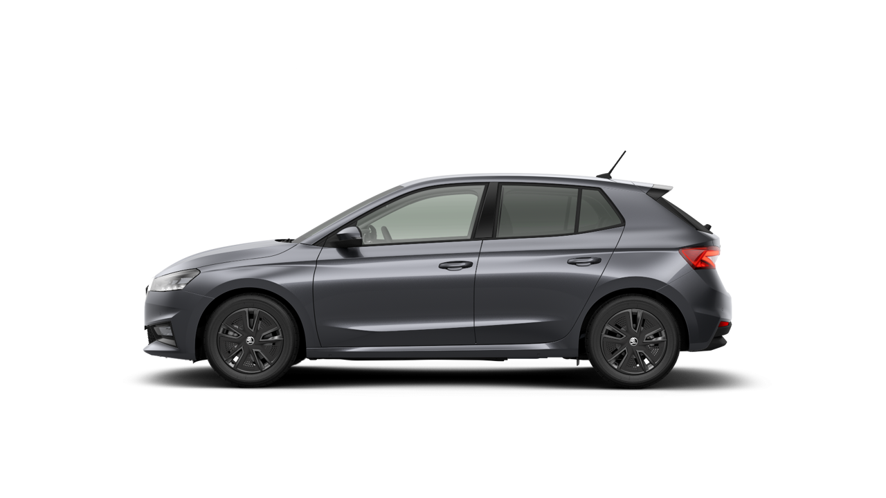 Bild eines Fabia Selection TSI DSG