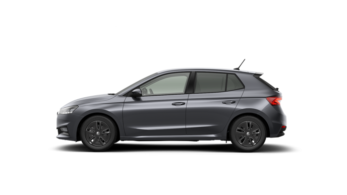 Bild eines Fabia Selection TSI DSG