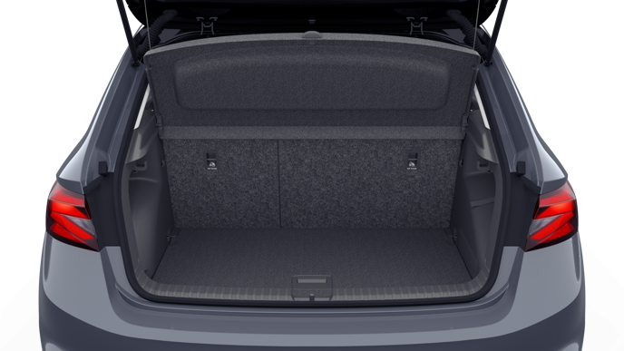 Bild eines Fabia Selection TSI DSG