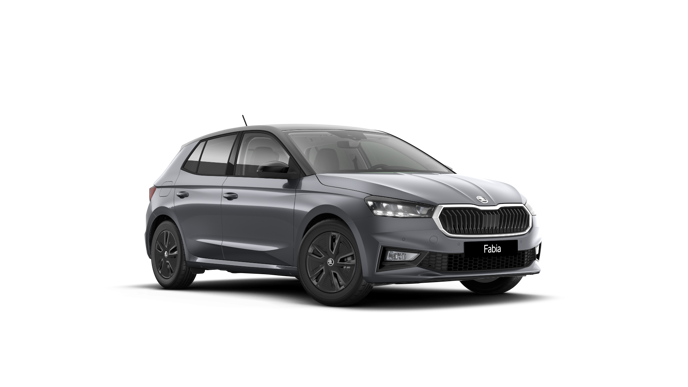 Bild eines Fabia Selection TSI DSG