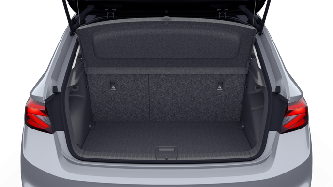 Bild eines Fabia Selection TSI DSG