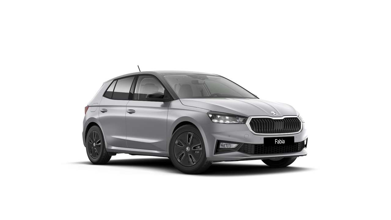 Bild eines Fabia Selection TSI DSG