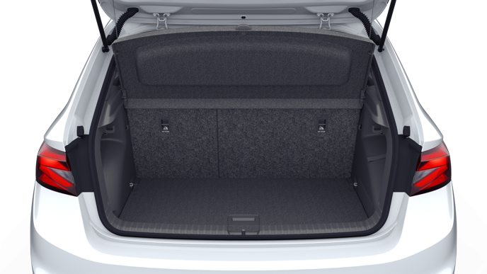 Bild eines Fabia Monte Carlo TSI DSG