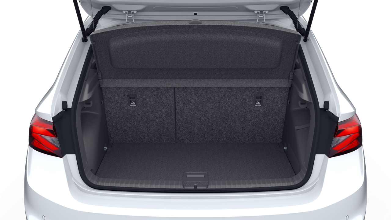 Bild eines Fabia Monte Carlo TSI DSG